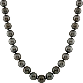 8FXE