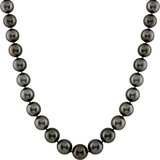 8FXE