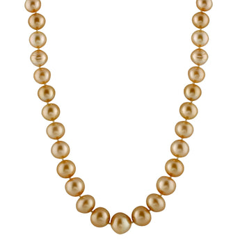 GOLDEN-1013