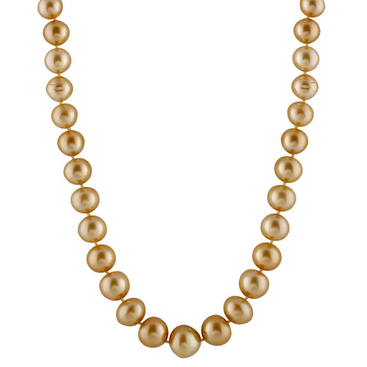 GOLDEN-1013